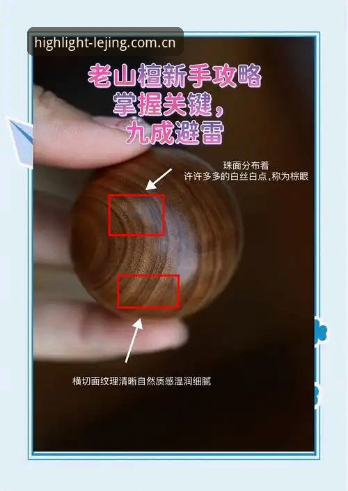 拼出你的高光时刻中国官网评测 深度揭秘:拼出你的高光时刻中国官网评测,新手与老手都需要的避坑指南